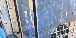 R130,000 Drug Haul Seized as Free State Police Smash Matjhabeng Syndicate