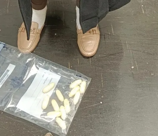 23-Year-Old Woman in OR Tambo International Airport Drug Arrest Bound for Tokyo