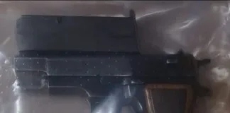 Suspect Arrested in Eldorado Park on Firearm and Drug Charges Following Intelligence-Led Operation Suspect Arrested in Eldorado Park on Firearm and Drug Charges Following Intelligence-Led Operation