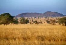 Financing Agri-Food Systems Sustainably Summit