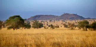 Africa has a 0 Billion Agricultural Financing Gap