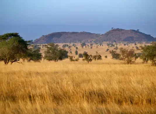 Africa has a $100 Billion Agricultural Financing Gap Financing Agri-Food Systems Sustainably Summit