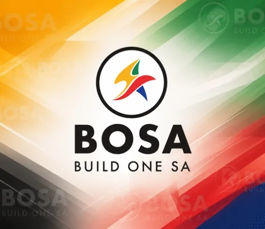 Melanie Du Bois Joins Build One South Africa as Candidate for Two Cape Town Wards