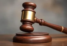 Vusimuzi Matlala Medicare24 Guilty Plea: Legal Expert Analyzes State Witness Agreement