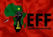 EFF Moves to Remove National Assembly Speaker Thoko Didiza Amid Phala Phala Fallout