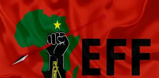 EFF Moves to Remove National Assembly Speaker Thoko Didiza Amid Phala Phala Fallout