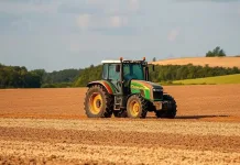 From Vineyards to Value Chains: South Africa and Italy Forge New Agri-Alliance for Shared Growth