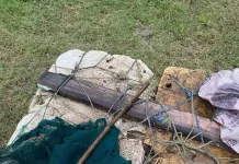 A new app providing hope for the effective eradication of illegal fishing activities Illegal gillnetting activities