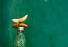 World’s best food photographs served up – South African photographer triumphs World’s best food photographs served up - South African photographer triumphs