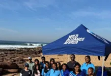 Scottburgh High learners’ unforgettable octopus encounter inspires new generation of ocean guardians