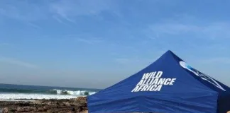 Scottburgh High learners’ unforgettable octopus encounter inspires new generation of ocean guardians