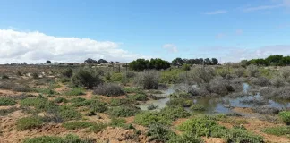 DA Files Criminal Charges Against Kamiesberg Municipality Over Koingnaas Raw Sewage Crisis