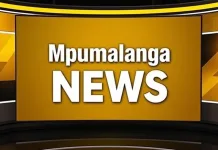 Desperate Search Underway After Vehicle Plunges into Crocodile-Infested River in Mbombela Desperate Search Underway After Vehicle Plunges into Crocodile-Infested River in Mbombela