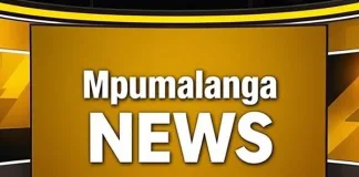 Desperate Search Underway After Vehicle Plunges into Crocodile-Infested River in Mbombela Desperate Search Underway After Vehicle Plunges into Crocodile-Infested River in Mbombela
