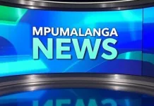 Nelspruit Bank Employee Arrested for Corruption and Money Laundering Linked to Rhino Horn Trafficking Nelspruit Bank Employee Arrested for Corruption and Money Laundering Linked to Rhino Horn Trafficking