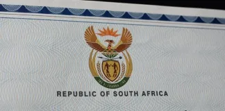 Nearly Half of South African Adults Lack Matric Qualification, New Data Shows