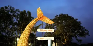 Africa’s Largest 3D-Printed Whale Tail Turns Formosa Bay Resort into a New Garden Route Landmark