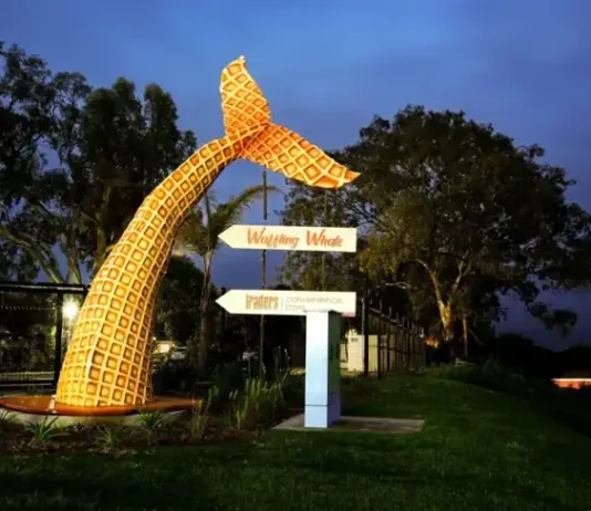 Africa’s Largest 3D-Printed Whale Tail Turns Formosa Bay Resort into a New Garden Route Landmark Africa’s Largest 3D-Printed Whale Tail Turns Formosa Bay Resort into a New Garden Route Landmark