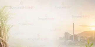 Tongaat Hulett Saved from Liquidation as IDC and Vision Consortium Strike Business Rescue Deal