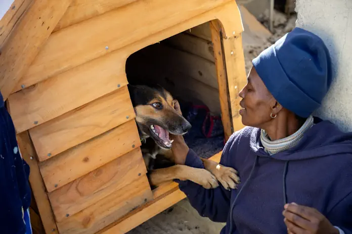 FOUR PAWS Welcomes Landmark Pet Population Data in South Africa FOUR PAWS Welcomes Landmark Pet Population Data in South Africa