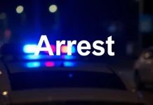 Cross-Border Justice: Mozambique Arrests Pair in Slaying of Kruger Park Couple