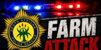 Harrismith Double Murder Suspect Apprehended on Toekoms Farm Following Deaths of Two Brothers