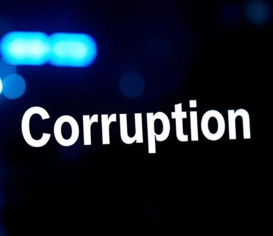 Gauteng Education MEC Lebogang Maile Launches Probe Into Corruption and Procurement Irregularities at Provincial Schools