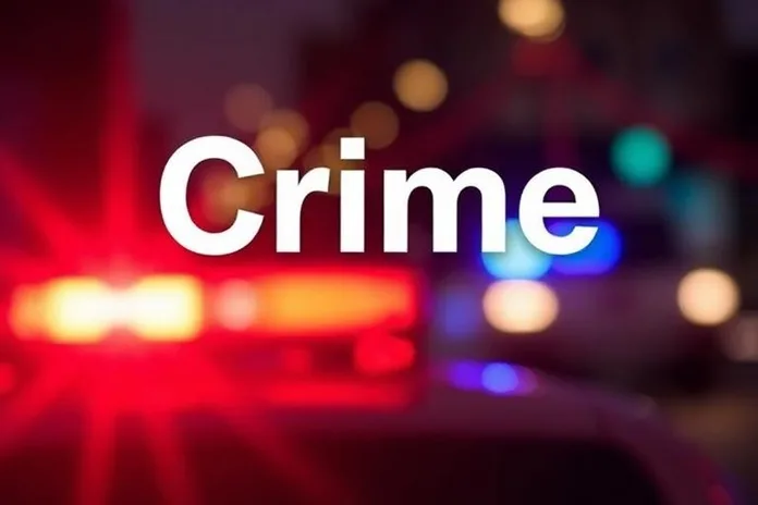 crime-3 Gauteng Q4 Crime Stats: Serious Crimes Down 5.2%, But Concerns Persist Ahead of June 30 Marches