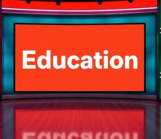 Artificial Intelligence in Education Cannot Replace Teachers, Minister Declares