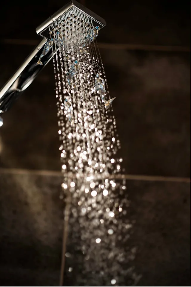 ginger-hendee-N8buV78yNBo-unsplash Boosting Home Efficiency with a Dedicated Pressure Pump