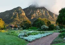 Kirstenbosch National Botanical Garden invites families to enjoy Winter Wonders 2026 these school holidays