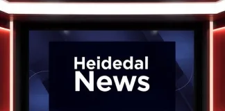 Four Arrested in Heidedal Anti-Gang Operation Following Violent Mob Attack