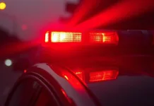 Two Bodies Recovered from Vehicle in Crocodile-Infested River Near Mbombela