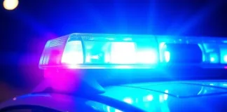 Lotus River Shooting on Cape Flats Leaves Four Dead Amid Escalating Gang Violence