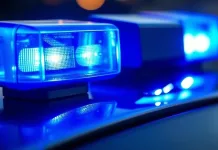 Canadian Tourist Killed in Kruger National Park Shooting; Private Tour Guide Arrested Canadian Tourist Killed in Kruger National Park Shooting; Private Tour Guide Arrested