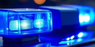 Canadian Tourist Killed in Kruger National Park Shooting; Private Tour Guide Arrested Canadian Tourist Killed in Kruger National Park Shooting; Private Tour Guide Arrested