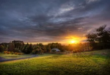 See nature through your lenses with SANBI this Nature Photography Day