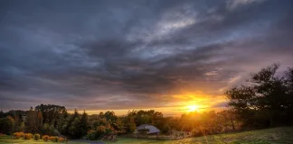 See nature through your lenses with SANBI this Nature Photography Day