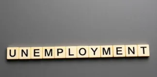 Youth Employment Drive Gains Momentum: Over 2.3 Million Opportunities Created Through Targeted Government Interventions Youth Employment Drive Gains Momentum: Over 2.3 Million Opportunities Created Through Targeted Government Interventions