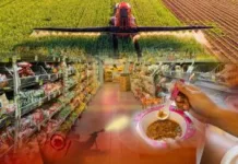 What’s really in our food? Independent testing finds widespread pesticide residues in South African food, including baby products What’s really in our food? Independent testing finds widespread pesticide residues in South African food, including baby products