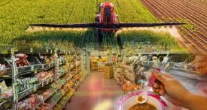 What’s really in our food? Independent testing finds widespread pesticide residues in South African food, including baby products