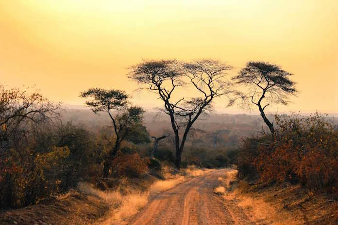 Why Winter Might Actually Be the Best Time to Go on Safari