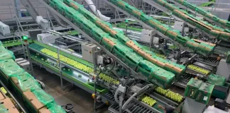 Major upgrades position Ceres Fruit Growers for future growth
