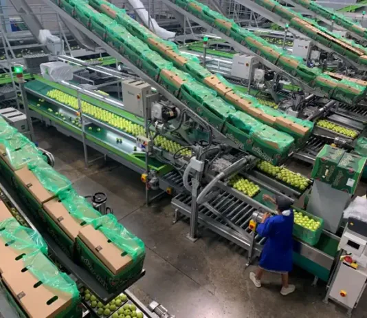 Ceres Fruit Growers (CFG), one of Tru-Cape Fruit Marketing’s shareholder packhouses