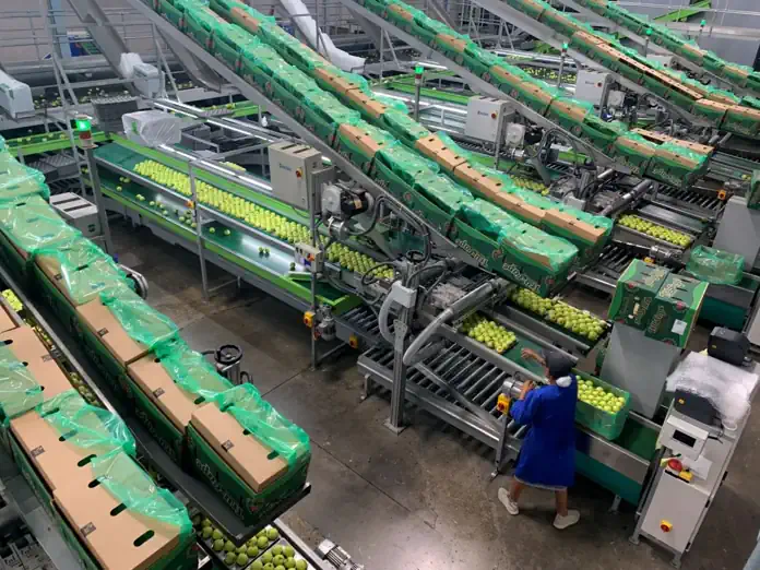 Major upgrades position Ceres Fruit Growers for future growth Major upgrades position Ceres Fruit Growers for future growth