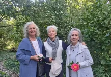 Camellia blooms inspire artists at Vergelegen masterclass Camellia blooms inspire artists at Vergelegen masterclass