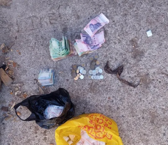 Potchefstroom Drug Bust: Nigerian Migrant Apprehended on Dealing Charges