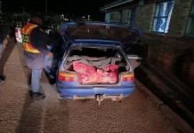 SAPS Seizes Large Cache of Suspected Stolen Meat in North West Crackdown SAPS Seizes Large Cache of Suspected Stolen Meat in North West Crackdown