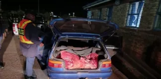 SAPS Seizes Large Cache of Suspected Stolen Meat in North West Crackdown SAPS Seizes Large Cache of Suspected Stolen Meat in North West Crackdown