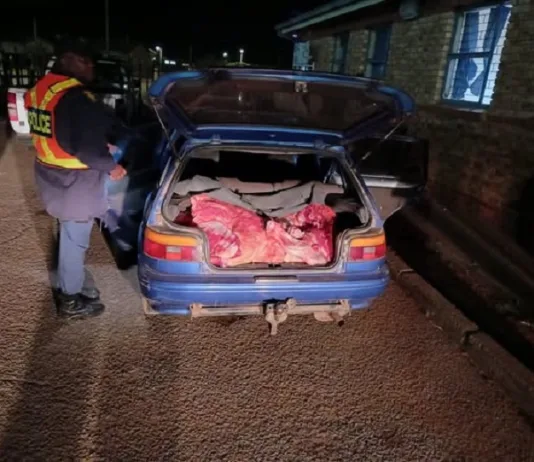 SAPS Seizes Large Cache of Suspected Stolen Meat in North West Crackdown SAPS Seizes Large Cache of Suspected Stolen Meat in North West Crackdown